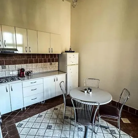 Vintage & Spacious Downtown Timisoara