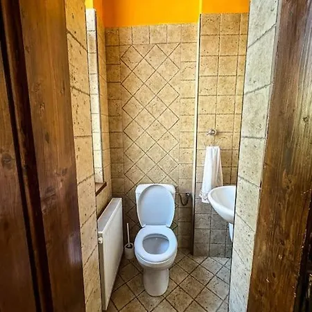 Vintage & Spacious Downtown Apartment Timisoara