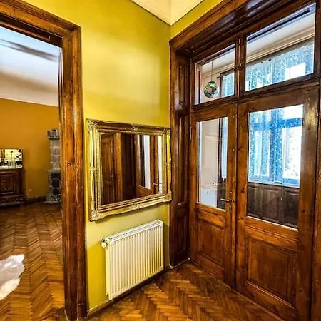 Vintage & Spacious Downtown Timisoara